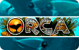 Orca