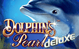 Dolphins pearl