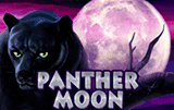 Panther Moon