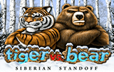 Tiger vs Bear
