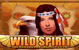 Wild Spirit